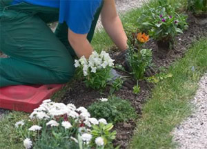 a tech is arraning the flowers on the new bed