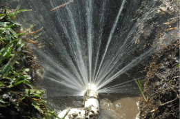 Broken sprinkler pipe requires repairs