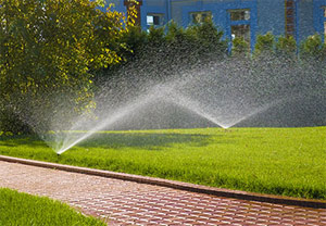 an irrigation system installed by our Scottsdale sprinkler installation team